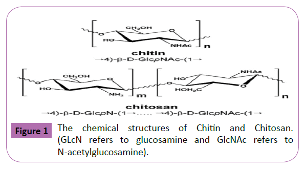 polymer-sciences-schematic-structures