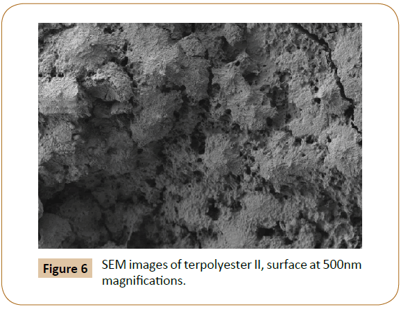 polymer-sciences-terpolyester-surface-magnifications