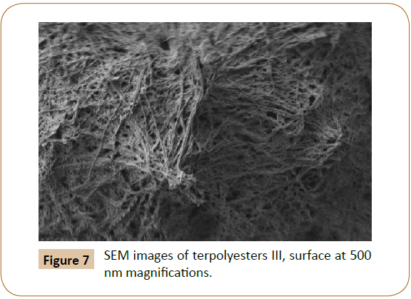 polymer-sciences-terpolyester-surface-magnifications