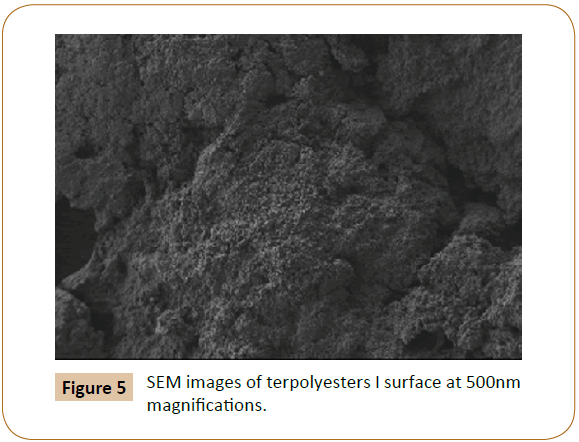 polymer-sciences-terpolyesters-surface-magnifications