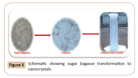 generalized-theory-applications-bagasse