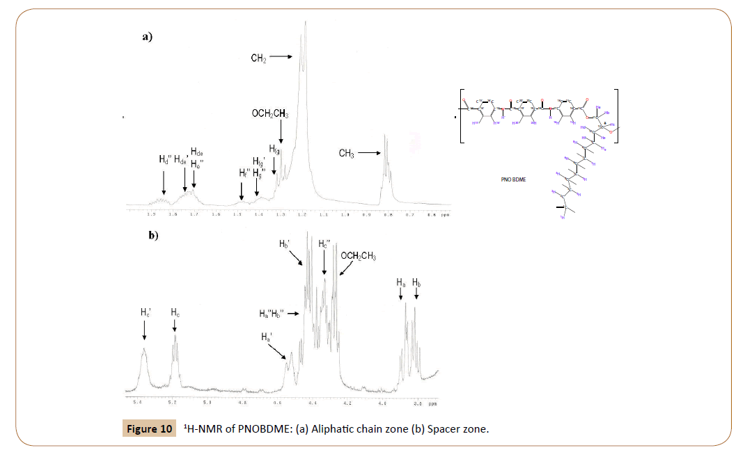 polymerscience-chain-zone