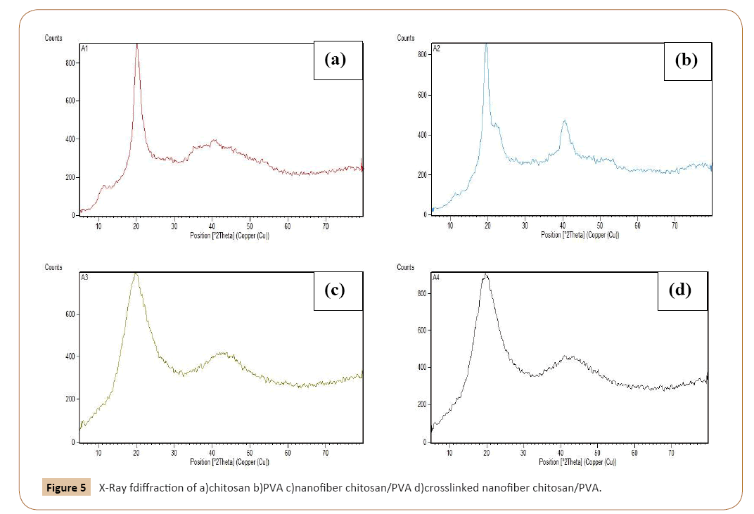 polymerscience-chitosan