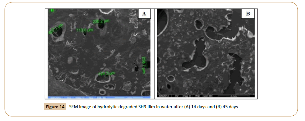 generalized-theory-applications-hydrolytic