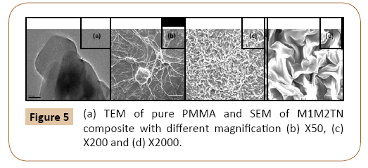 polymerscience-magnification