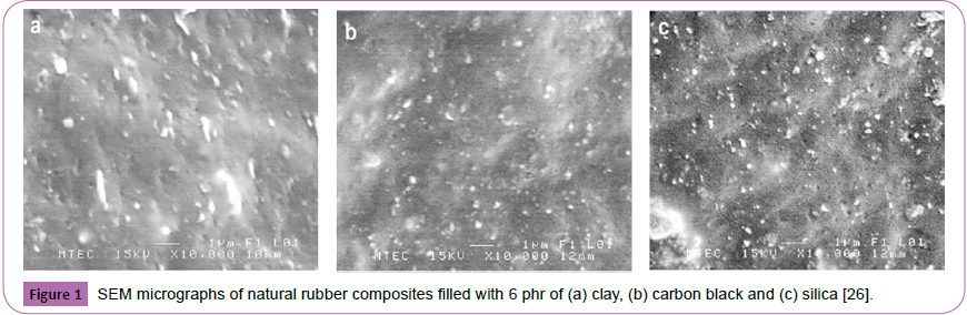 polymerscience-micrographs-natural-rubber-carbon