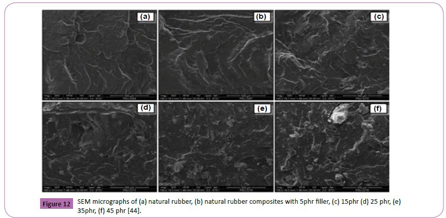 polymerscience-micrographs-natural-rubber-filler