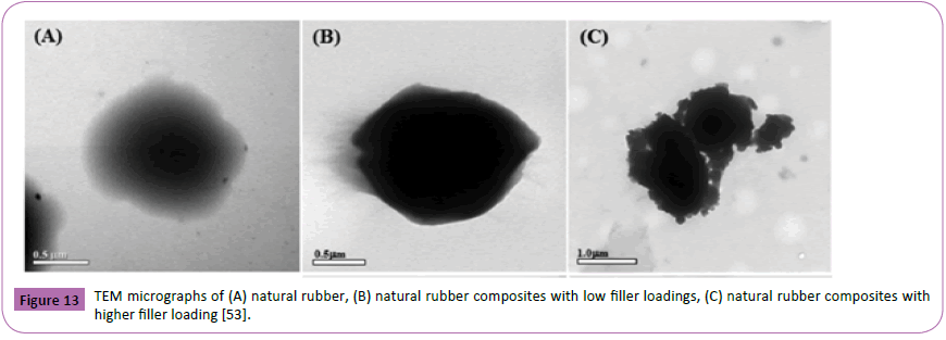 polymerscience-micrographs-natural-rubber-filler