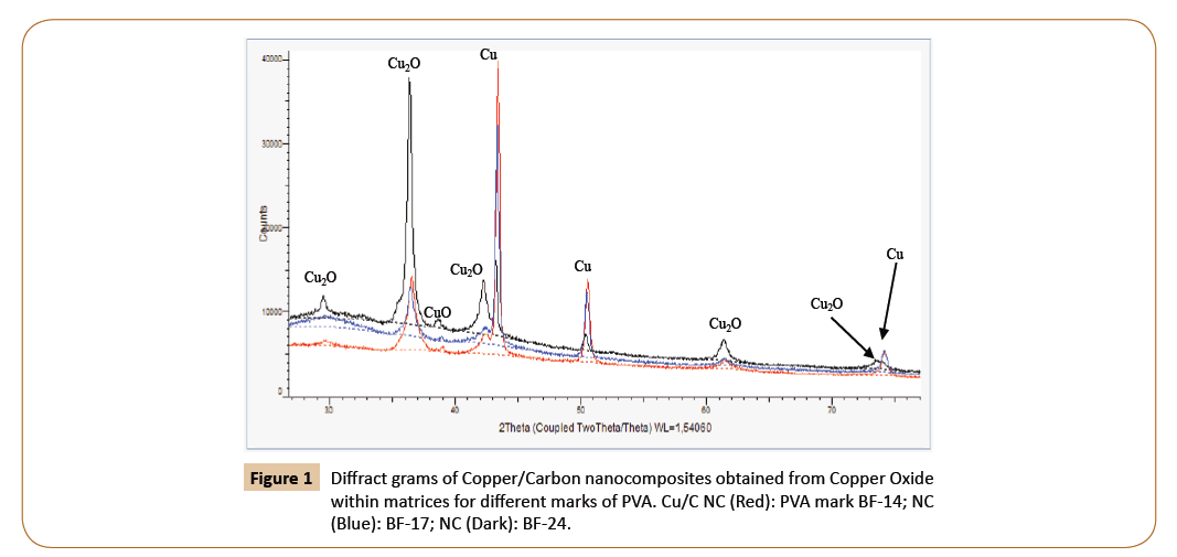 polymerscience-nanocomposites