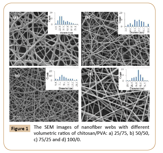 polymerscience-nanofiber