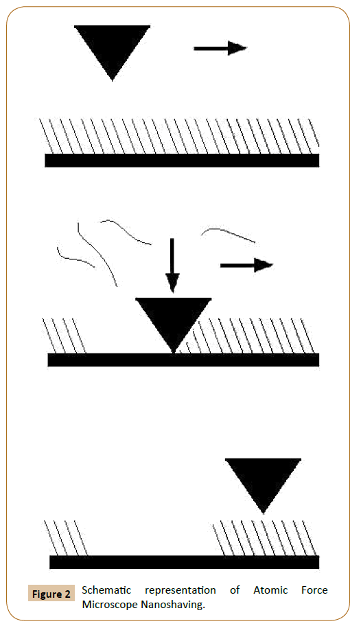 polymerscience-schematic