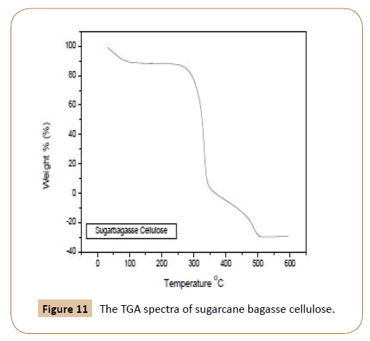 generalized-theory-applications-sugarcane