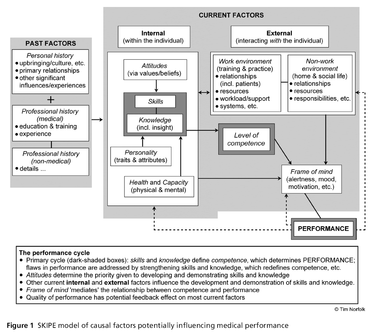 primarycare-SKIPE-model