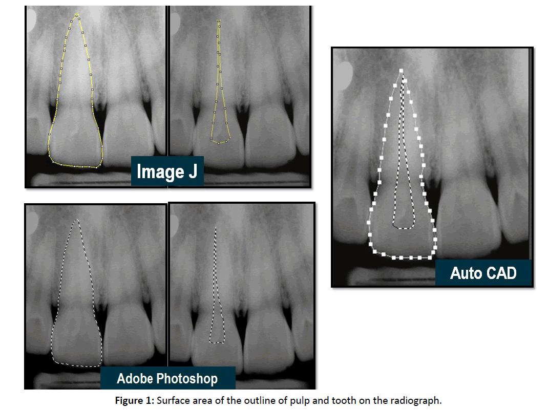 primarycare-Surface-area