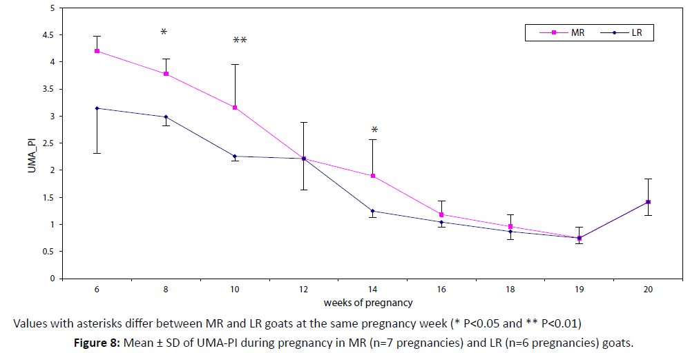 primarycare-UMA-PI