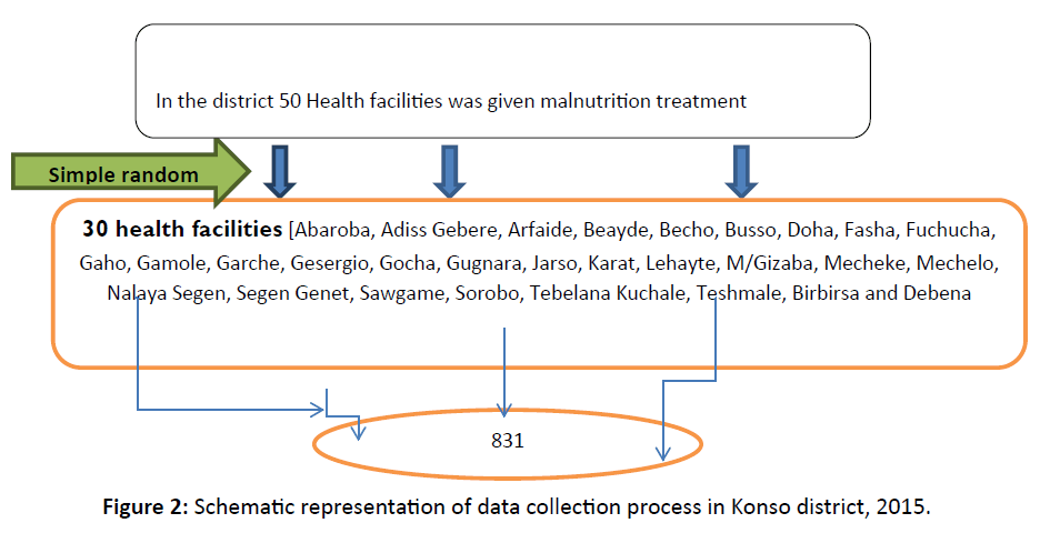 primarycare-collection-process