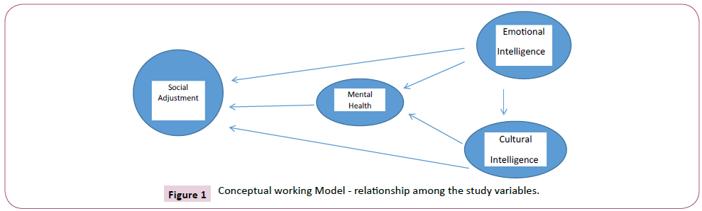 psychopathology-Conceptual-working-Model