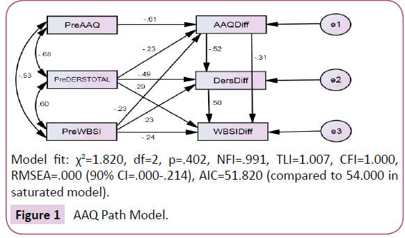 psychopathology-Path-Model