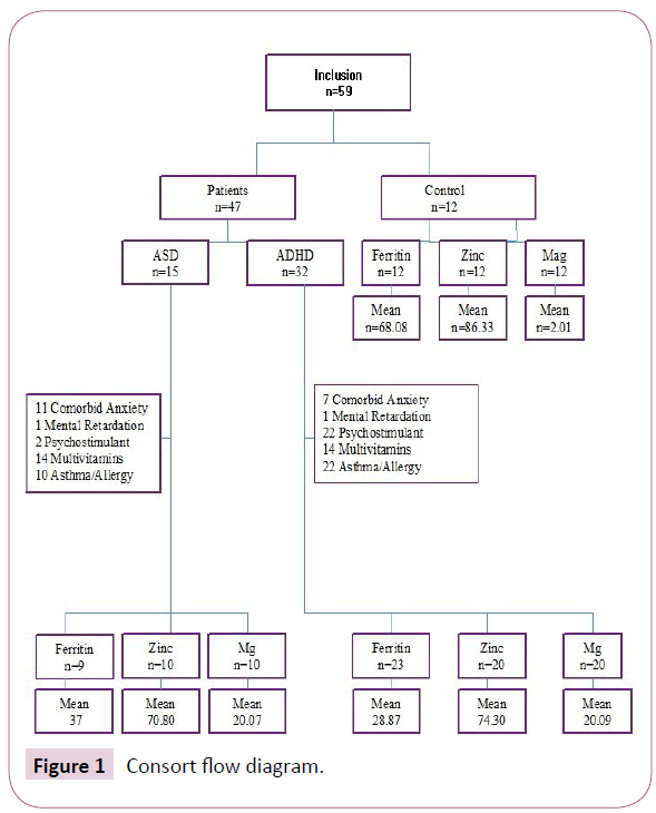 psychopathology-flow-diagram