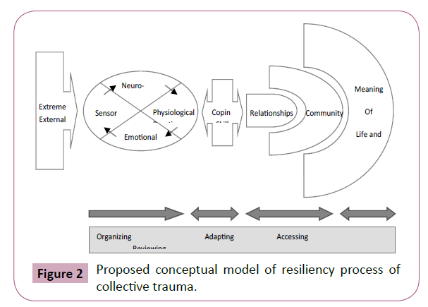 psychopathology-resiliency-process