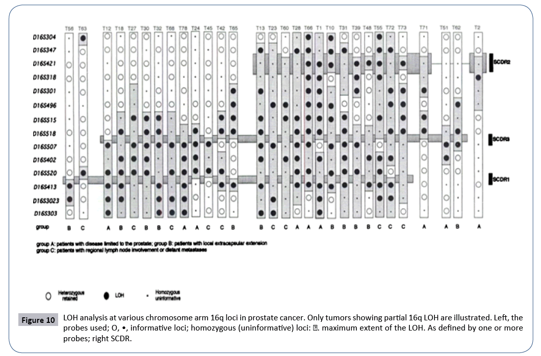 research-journal-oncology-chromosome