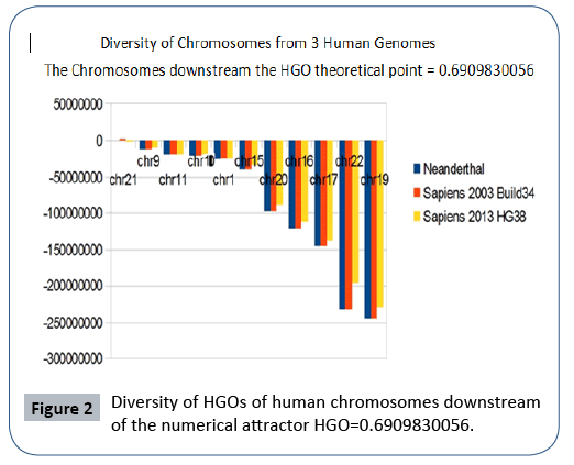 research-journal-oncology-chromosomes