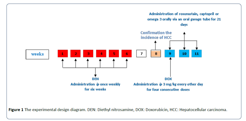 research-journal-oncology-design-diagram