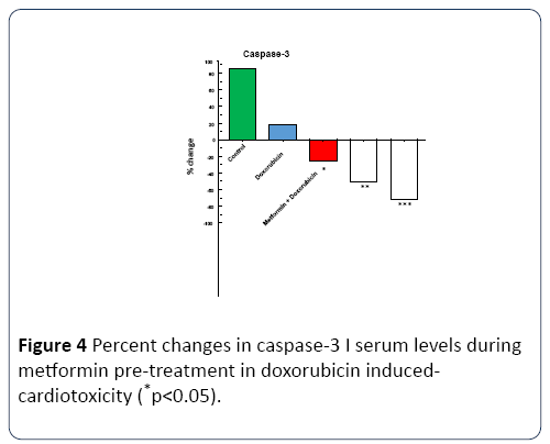 research-journal-oncology-doxorubicin