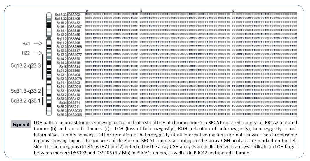 research-journal-oncology-heterozygosity