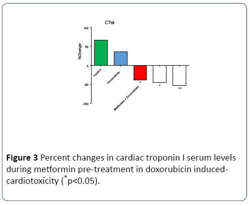 research-journal-oncology-troponin