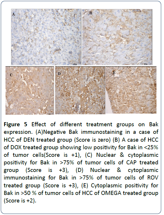 research-journal-oncology-tumor-cells