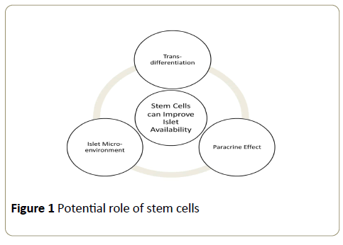 stemcells-Potential-role