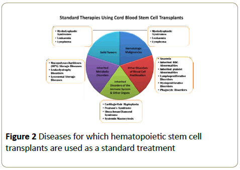 stemcells-hematopoietic-stem-cell