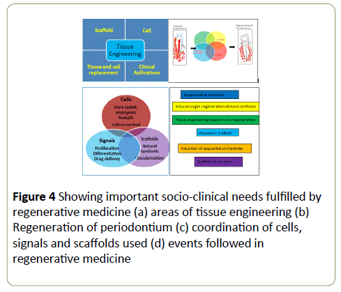 stemcells-socio-clinical-needs