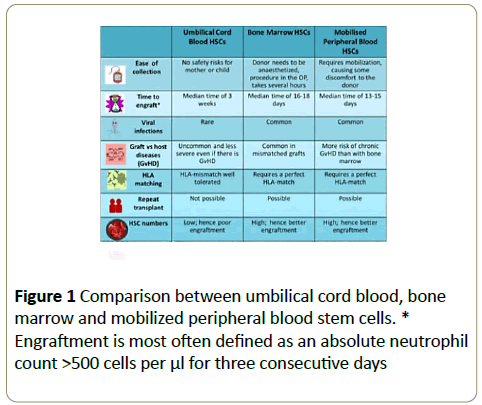 stemcells-umbilical-cord-blood