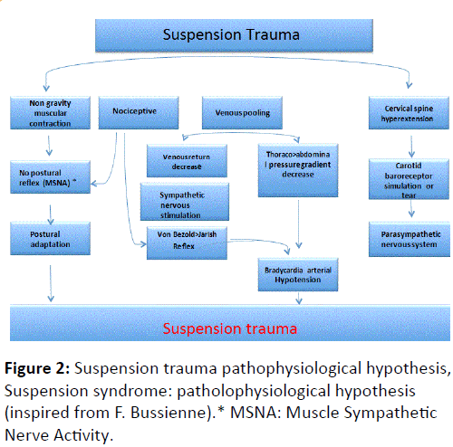 trauma-acute-care-classification-criteria