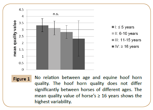 veterinary-medicine-surgery-age-equine-hoof-horn-quality