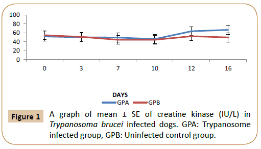 veterinary-medicine-surgery-creatine-kinase