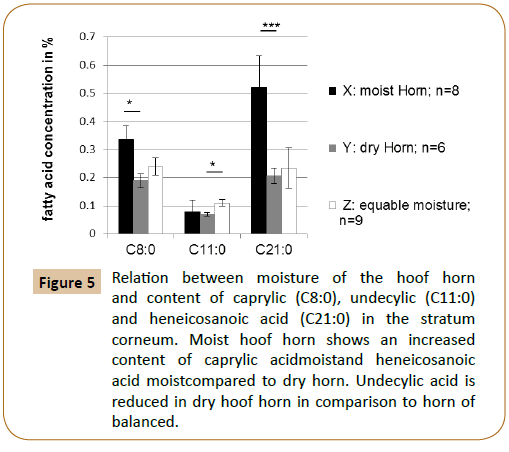 veterinary-medicine-surgery-moisture-hoof-horn