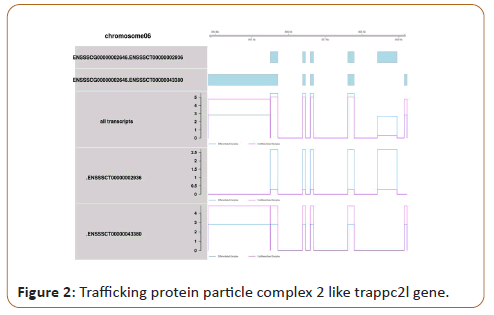 veterinary-medicine-surgery-protein-particle