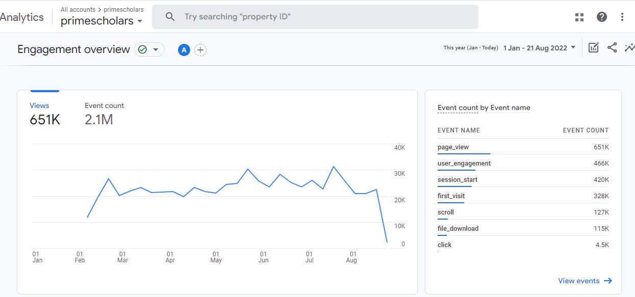 Visitor Analysis Report